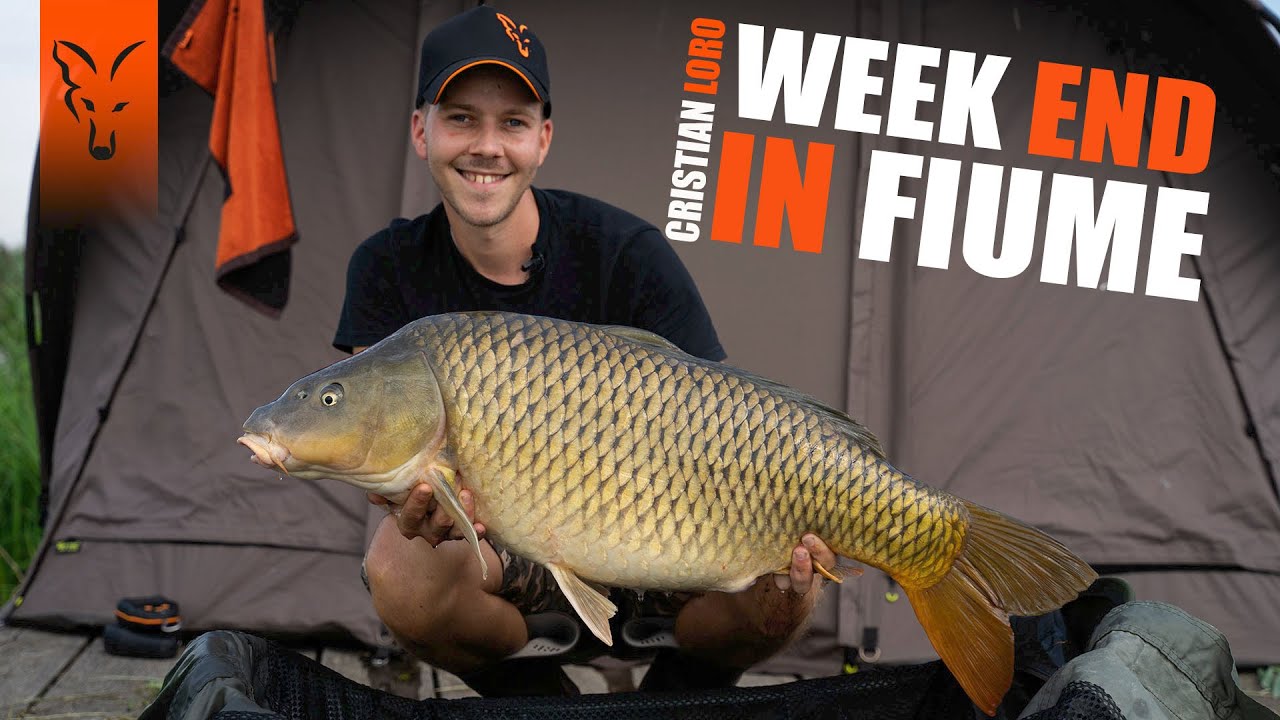 Week End in Fiume | Cristian Loro | CARP FISHING ITALIA