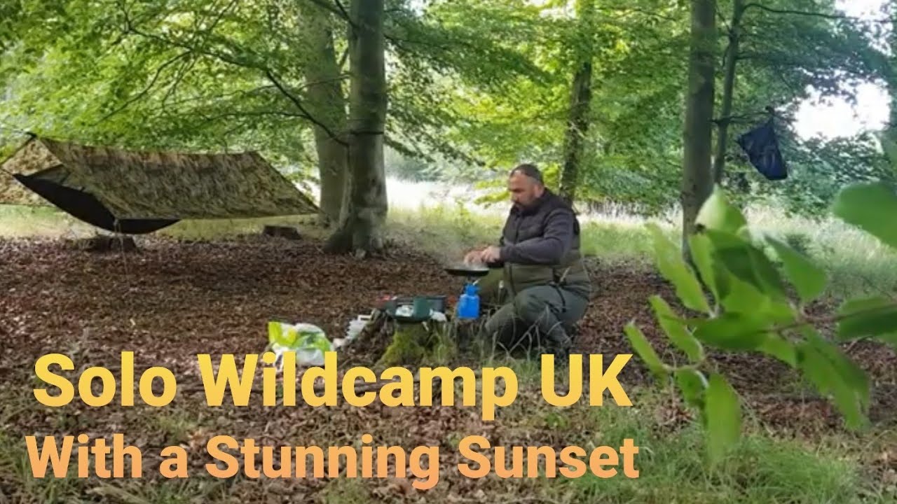 Wild Camp Solo Overnighter In a UK Forest