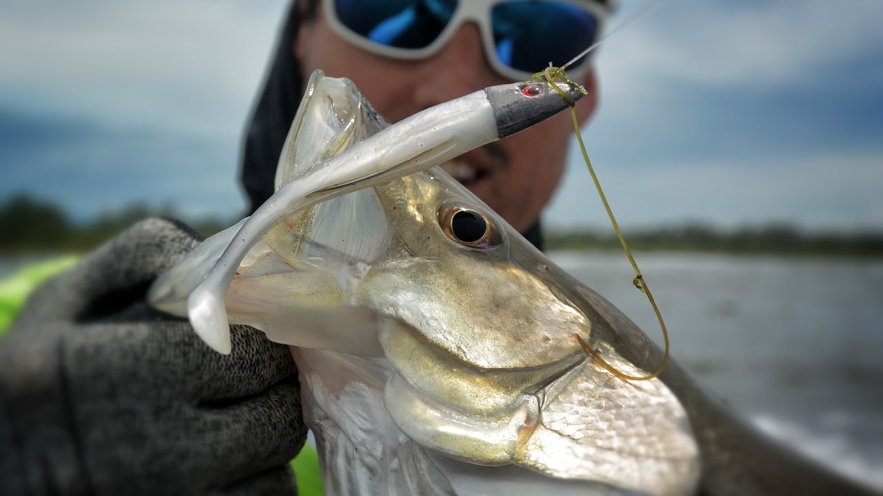 Reality Fishing Panama - Snook in wading - Bocas del Toro -  Pesca TV 236 SKY 2017