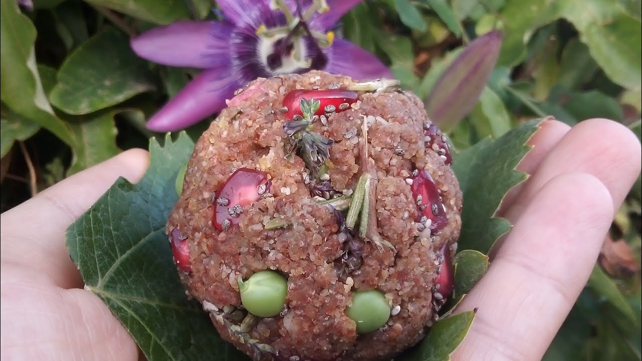 PERLA M&Oacute;RBIDA NATURAL Y F&Aacute;CIL DE HACER PARA LA CR&Iacute;A DE CANARIOS Y SILVESTRES.