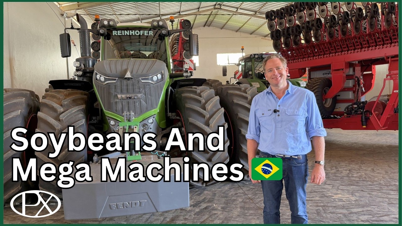 Maize, Soybeans & Their Own Hydroelectric Dam, Inside Reinhofer Group