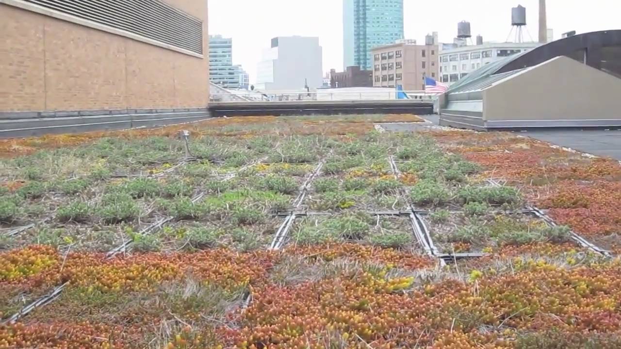 Con Edison's Green Roof Video