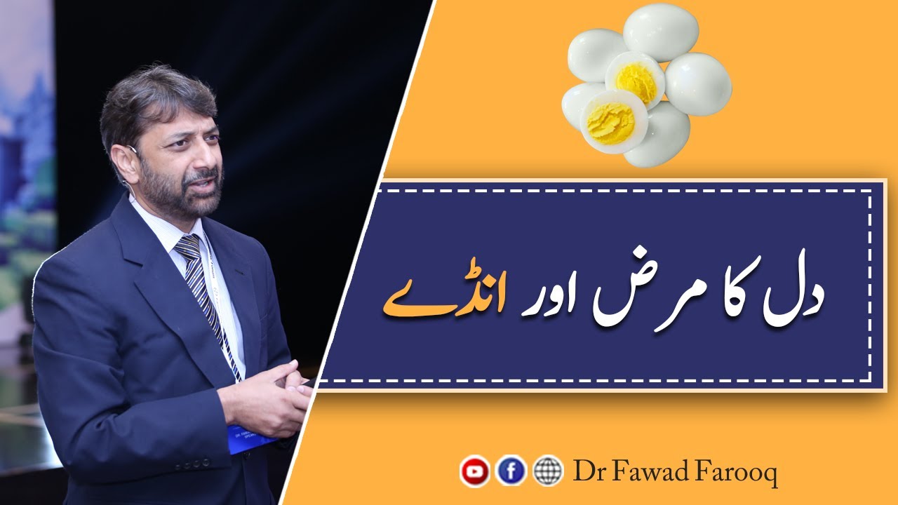 Egg in heart disease and hypertension.Urdu/Hindi Dr.Fawad Farooq