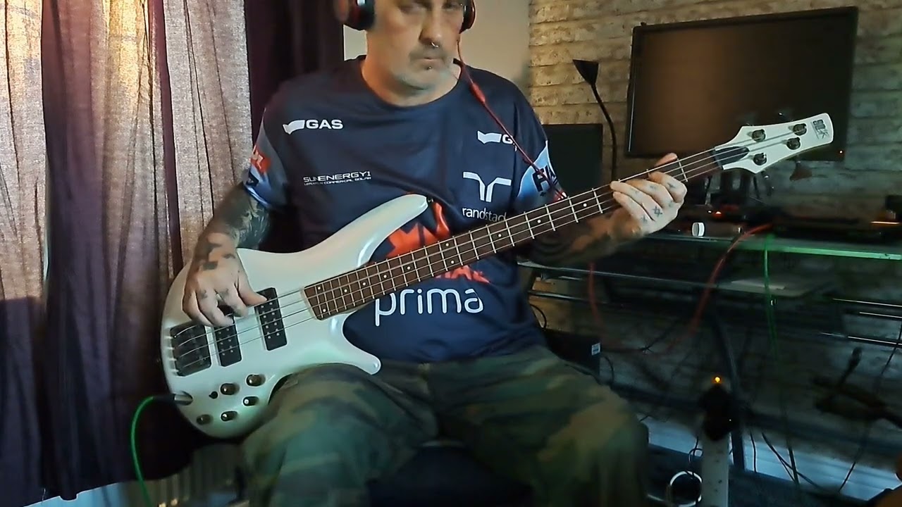 Motley Crue Without You Bass Cover