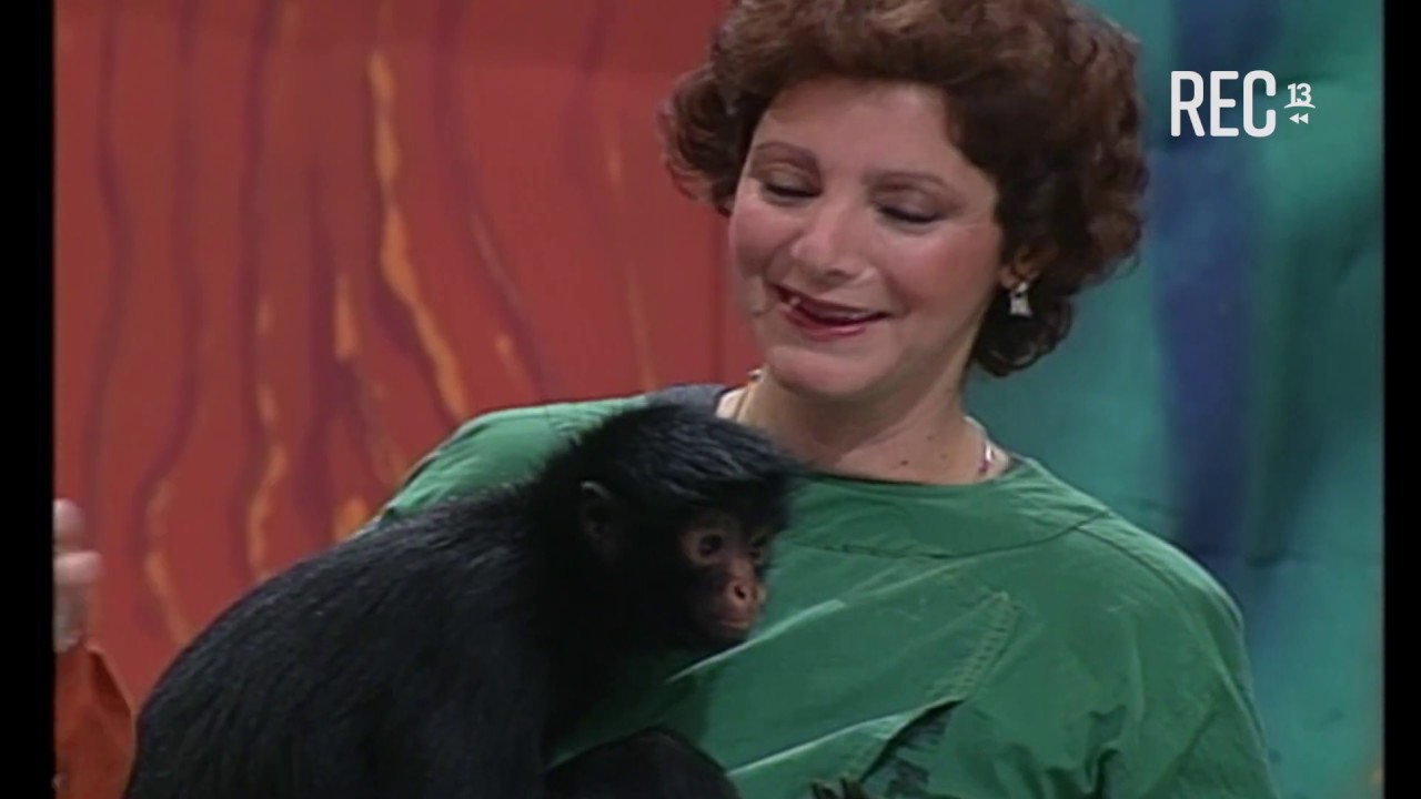 Historia de Veterinaria en Cachureos (1998)