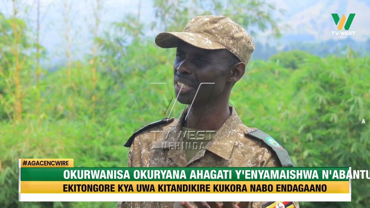 Agacencwire: Ekitongore kya UWA kitandikire kukora endagaano n'abatuura kurwanisa okuryana
