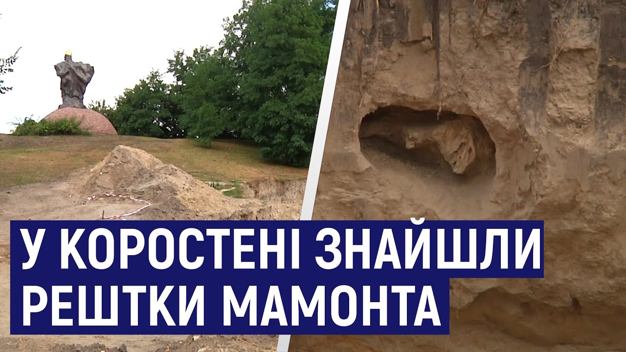 На Житомирщині знайшли кістки, які могли належати мамонту