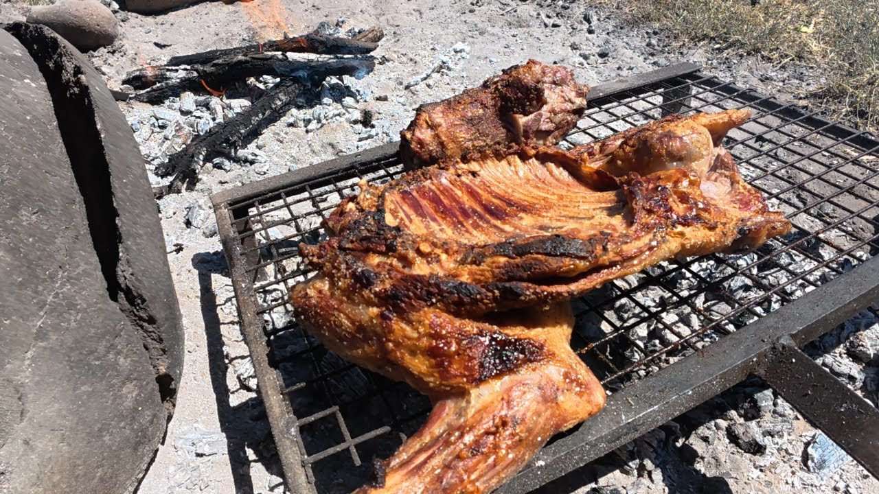 En busca de Colmillos ( CAZA DE JABALI) y chivito asado