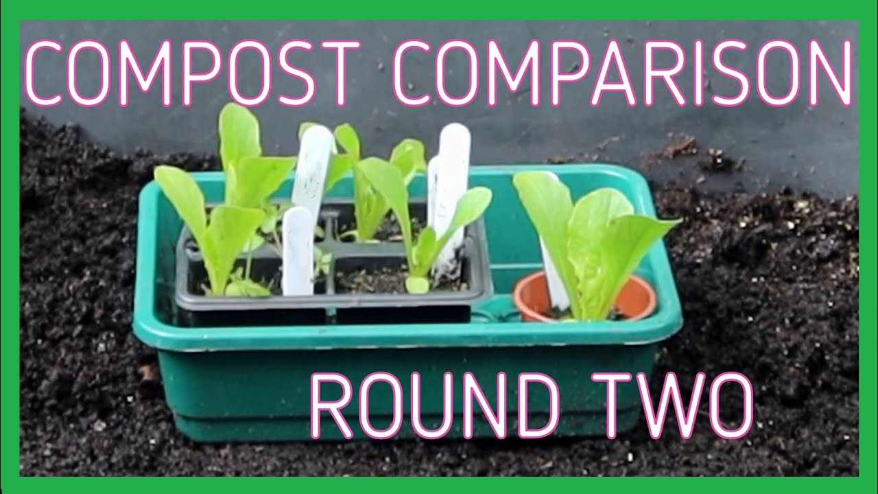 Compost Comparison - 