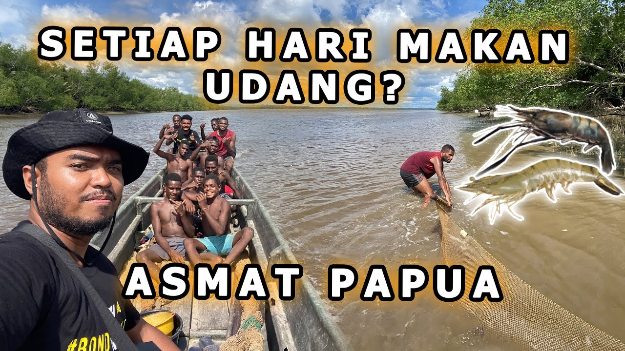 UDANG ASMAT PAPUA - BISA MAKAN SETIAP HARI ? DISTRIK ATSJ & KOTA AGATS