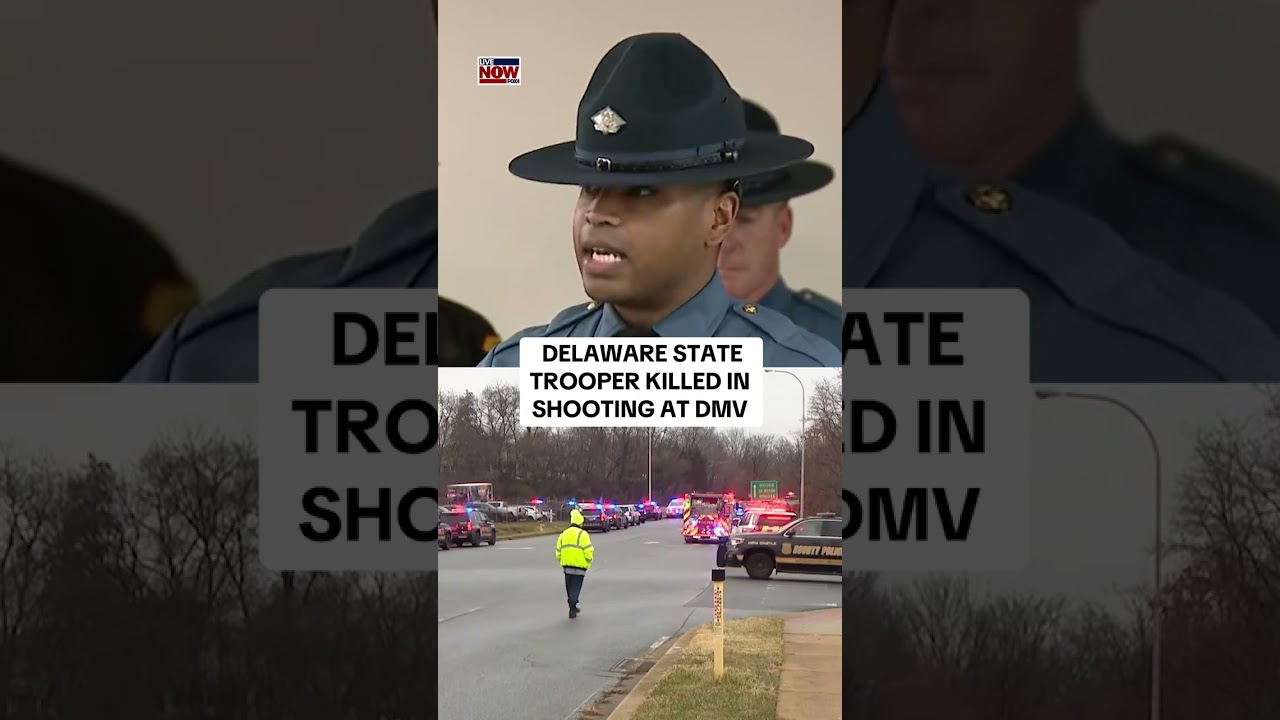 State trooper killed in Delaware