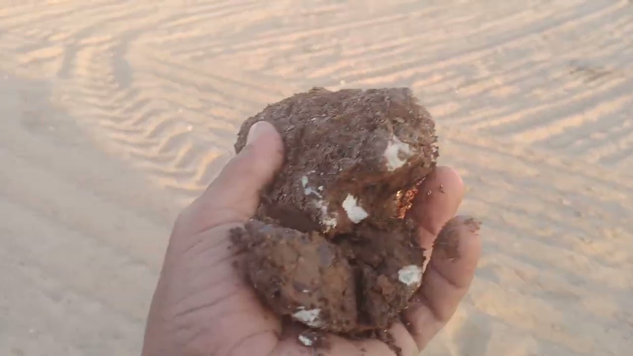 ارض بحيره باريس محافظه الوادي الجديد 01002906900
