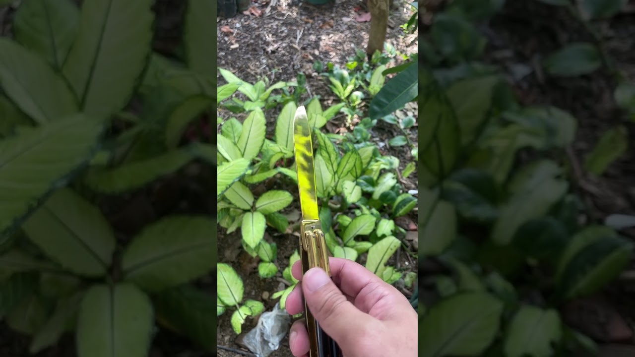 Brass Blade Balisong
