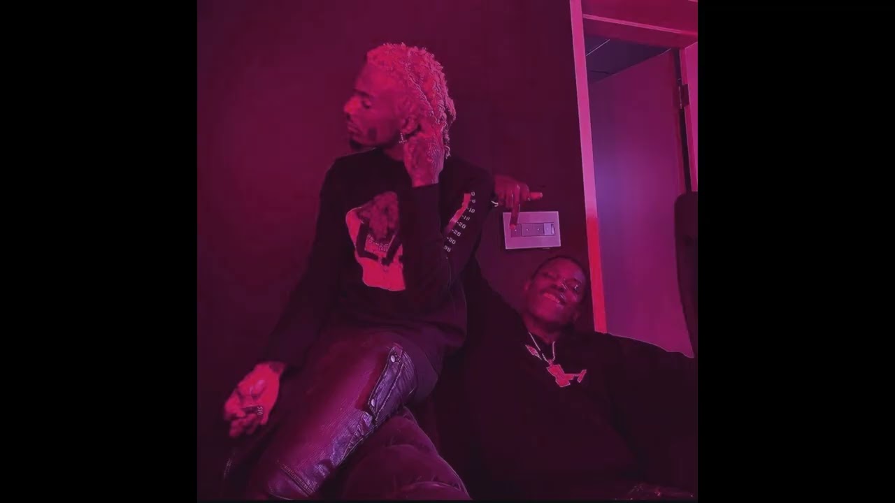playboi carti + wlr v2 + maaly raw type beat 'euphoria'