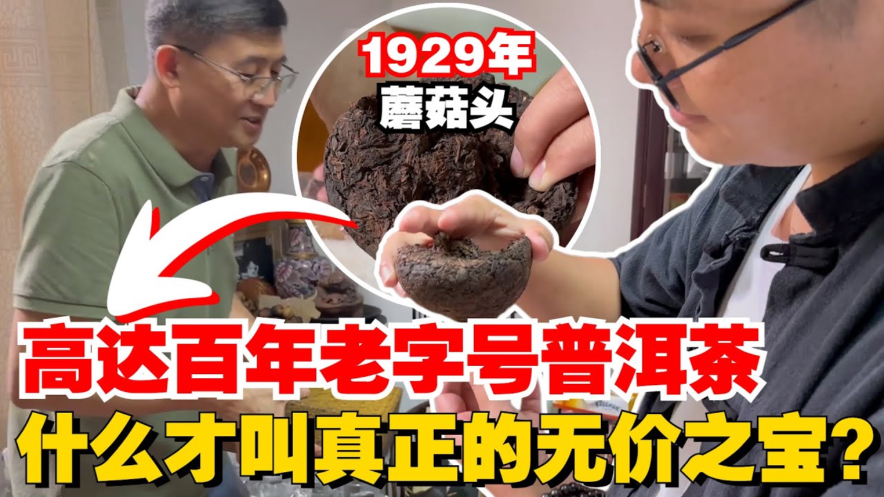 什么才叫真正的无价之宝？高达百年老字号普洱茶，品饮历史的味道！购茶请添加微信/赖line2号店：HDLG002（同号，搜索即可）#普洱茶 #茶文化 #普洱茶要怎么泡 #古树茶