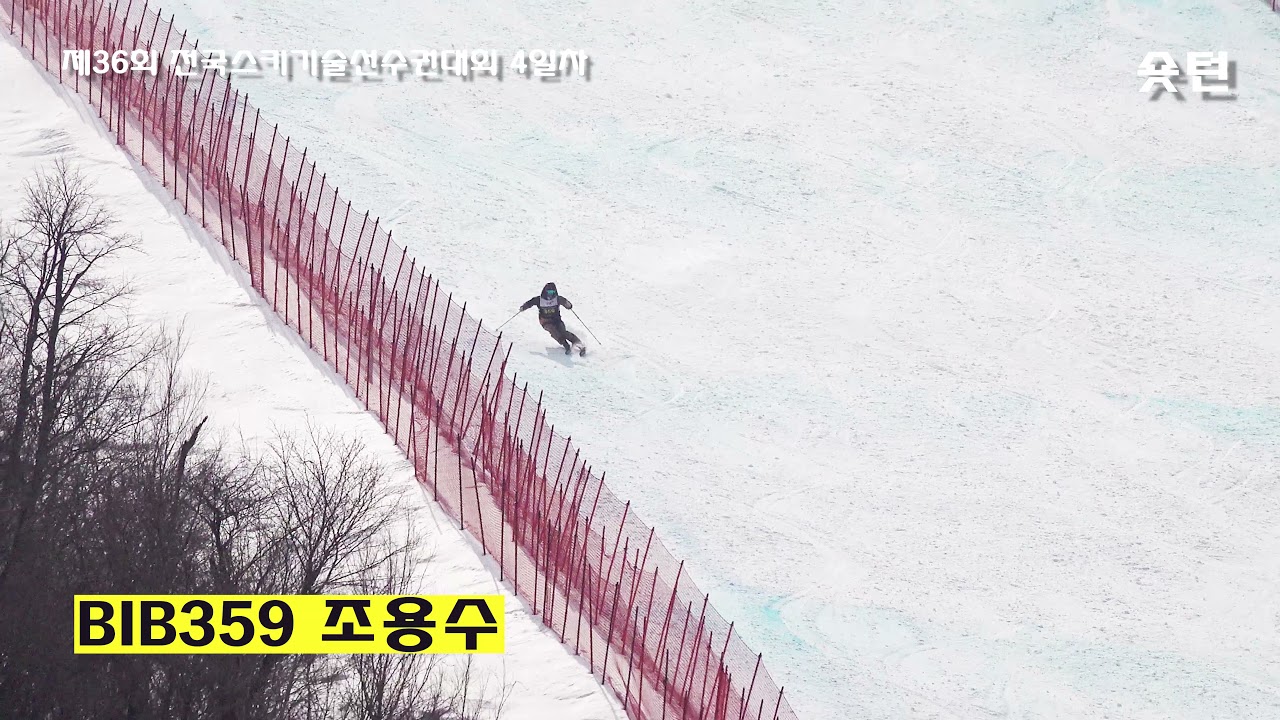 기선전 조용수