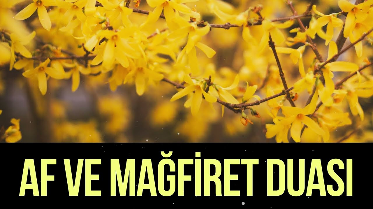 Af ve Mağfiret Duası - G&uuml;n&uuml;n Duası
