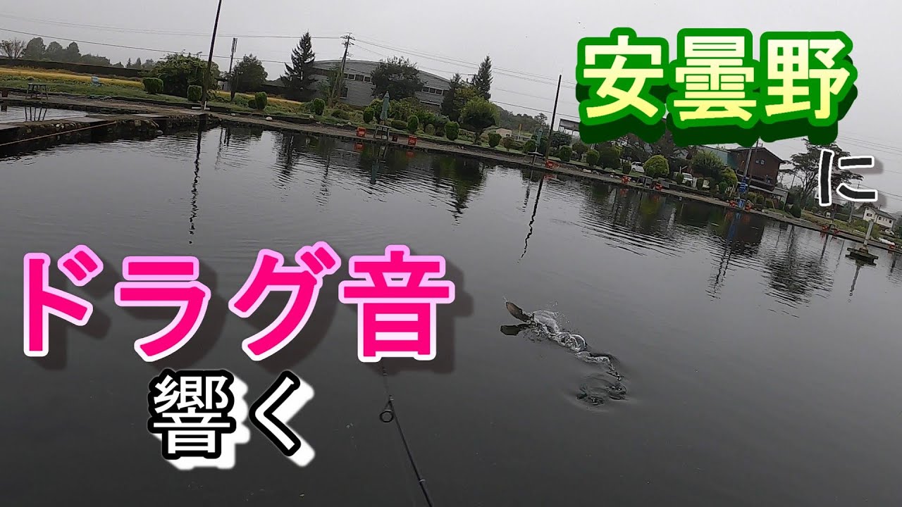 【管理釣り場】信州管釣り　安曇野にドラグ音が響いた①