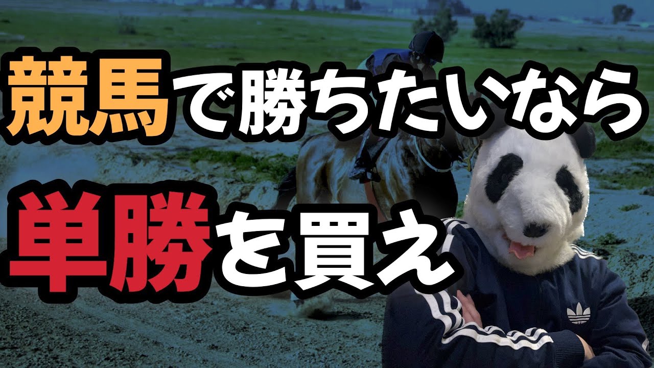 【初心者必見】僕が実践した単勝で勝つ考え方３選をご紹介。単勝で勝つには考え方が大事であり、その方法や狙い方を紹介します。