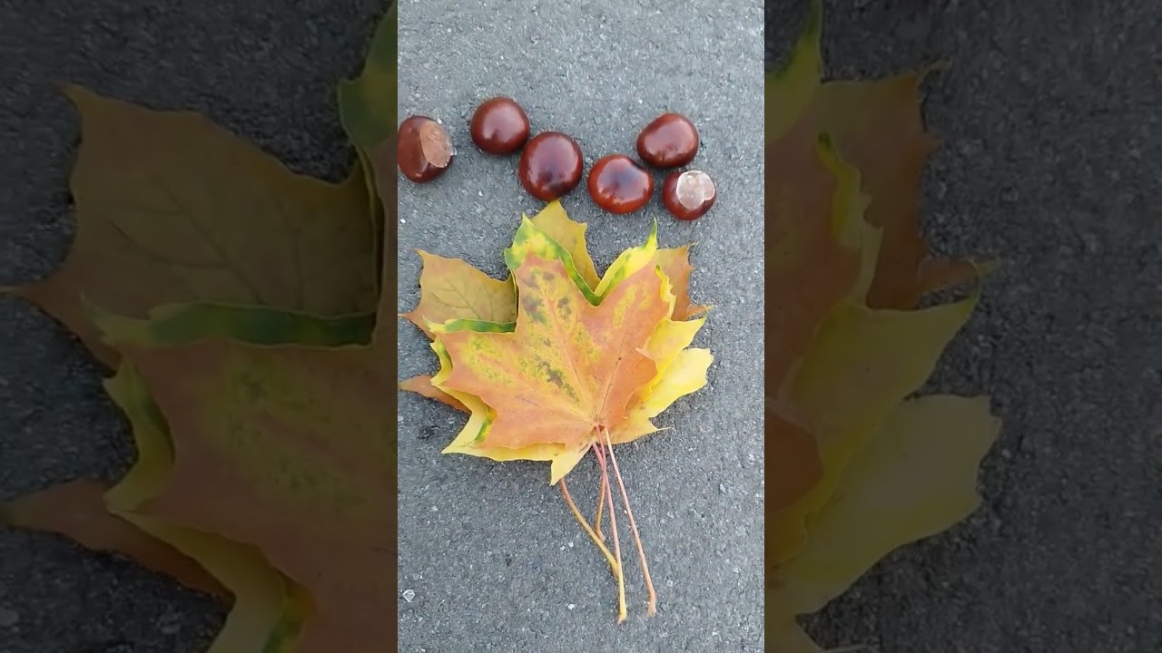 Guten Morgen, bereit f&uuml;r herbstliche Bastelideen mit Kastanien und Bl&auml;ttern? #herbstdeko #diy #video