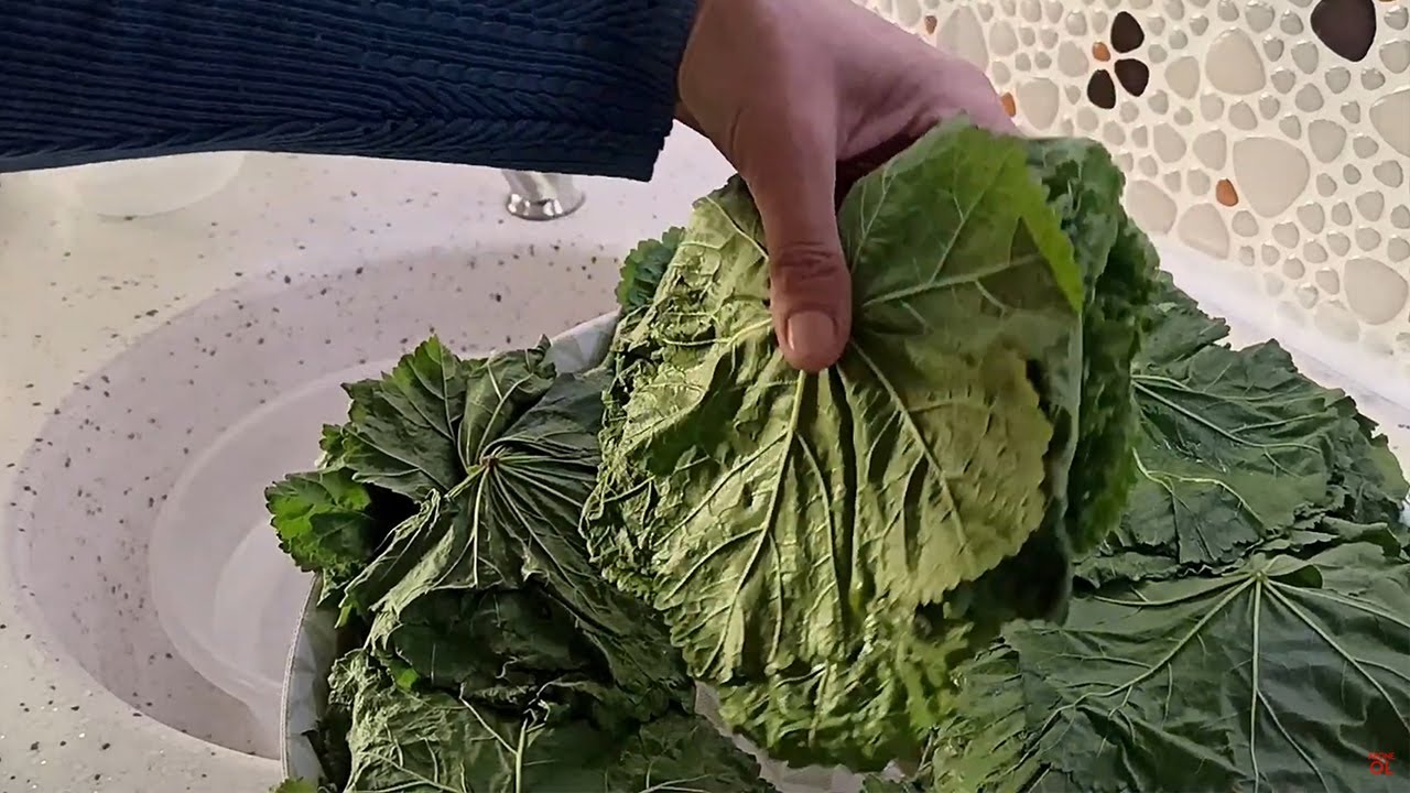 Püf Noktalarıyla Ebegümeci Sarması  | Emine'nin Köy Mutfağı