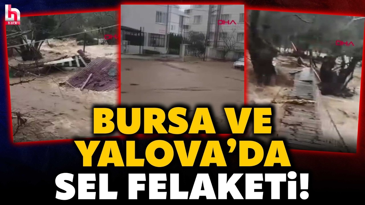 Yağmur, Bursa ve Yalova'da sele neden oldu: Ahırları su bastı; 5 b&uuml;y&uuml;kbaş selde &ouml;ld&uuml;!