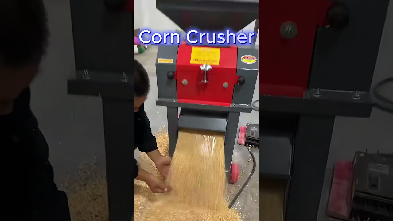 Small Farm Corn Crusher: Compact,Affordable&Super Efficient#corncrusher #farmequipment #agriculture