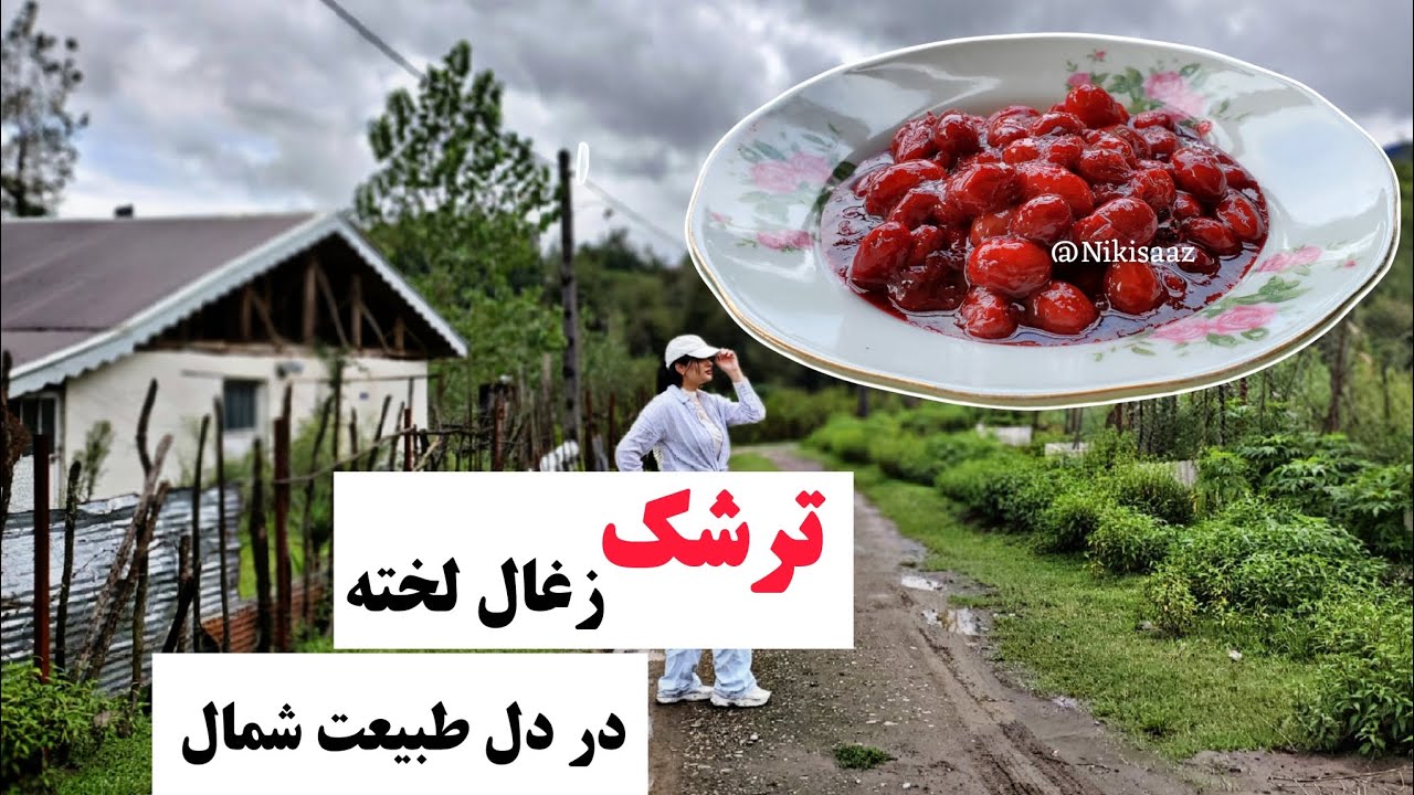 ترشک زغال اخته خوشمزه و فوری