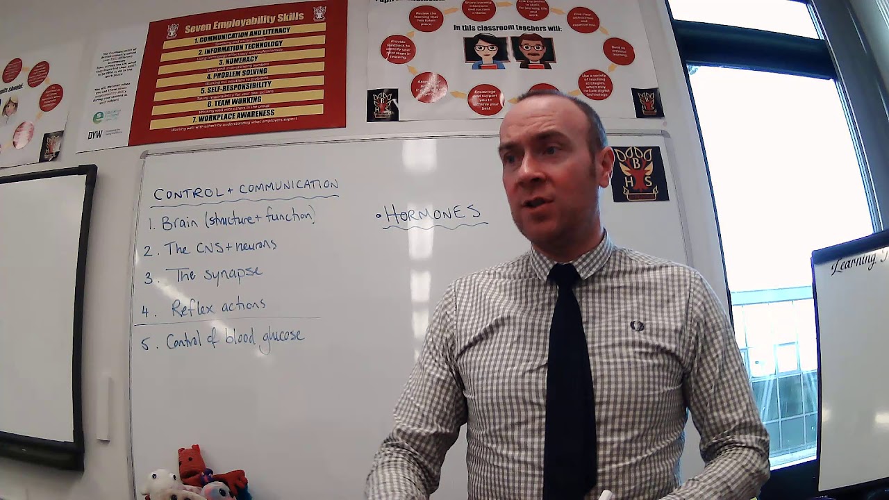 National 5 Biology - Control & Communication 2
