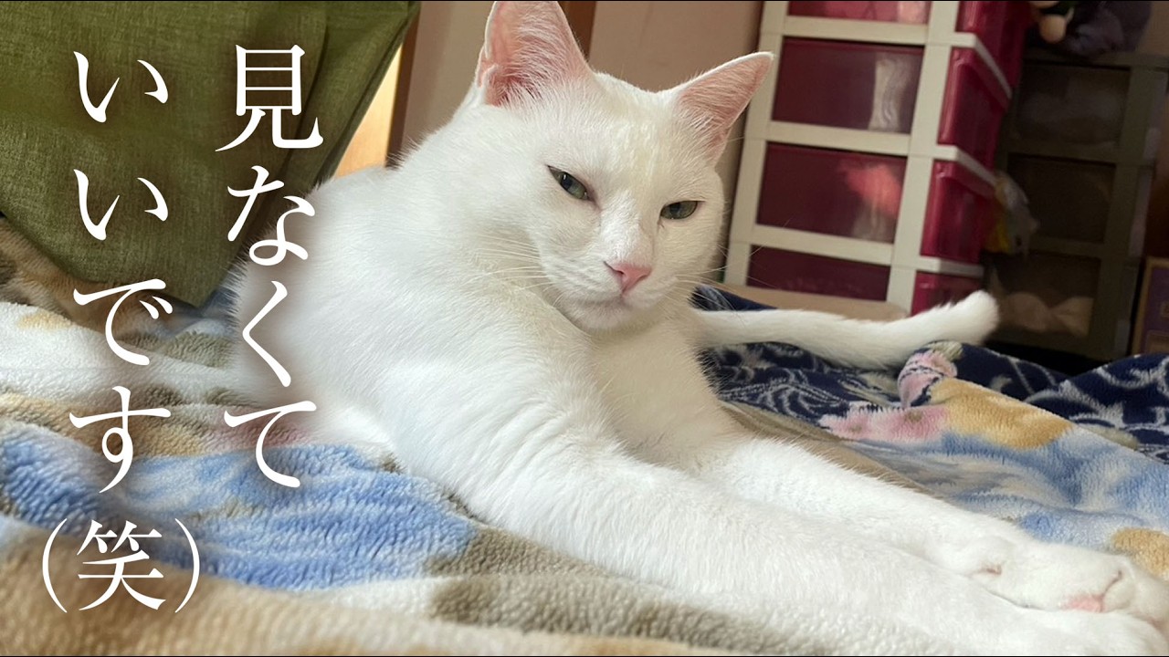 【注意】過去一面白くない動画かもしれません。※動画の最後にちょっとしたお知らせが。