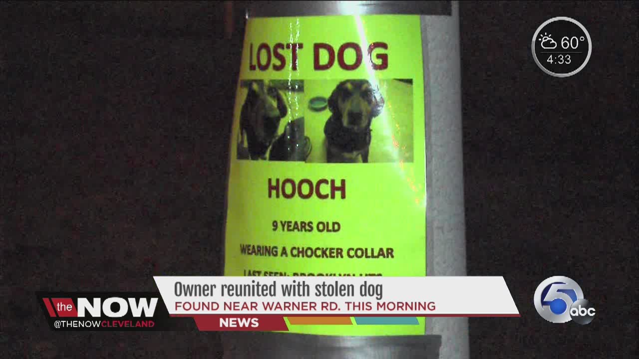 Stolen dog reunited with owner