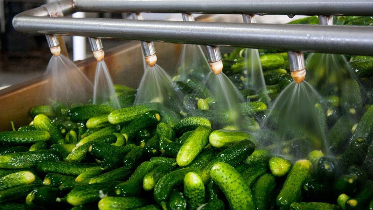 Crazy Food Processing Machines | Pickles