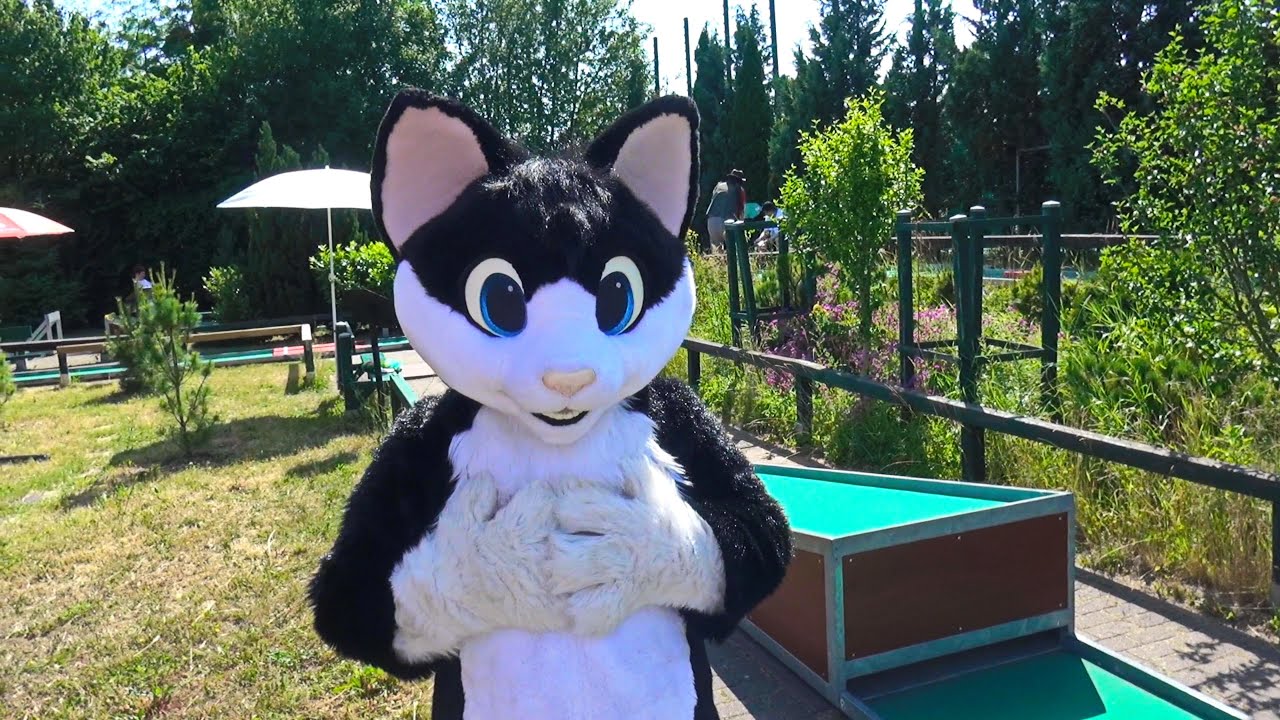 Cats play with mini things *** minigolf for furries, fursuiters and furs