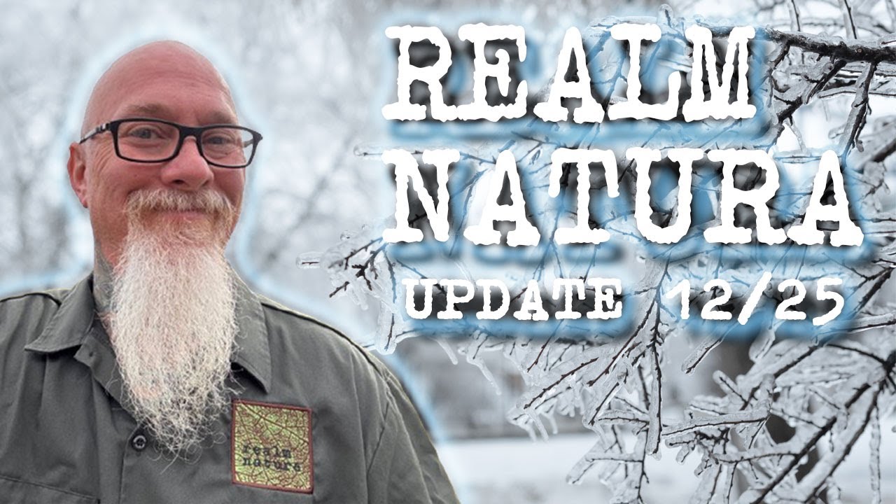 Обновление информации о нашем собственном специализированном зоопарке «Building Realm Natura» (де...