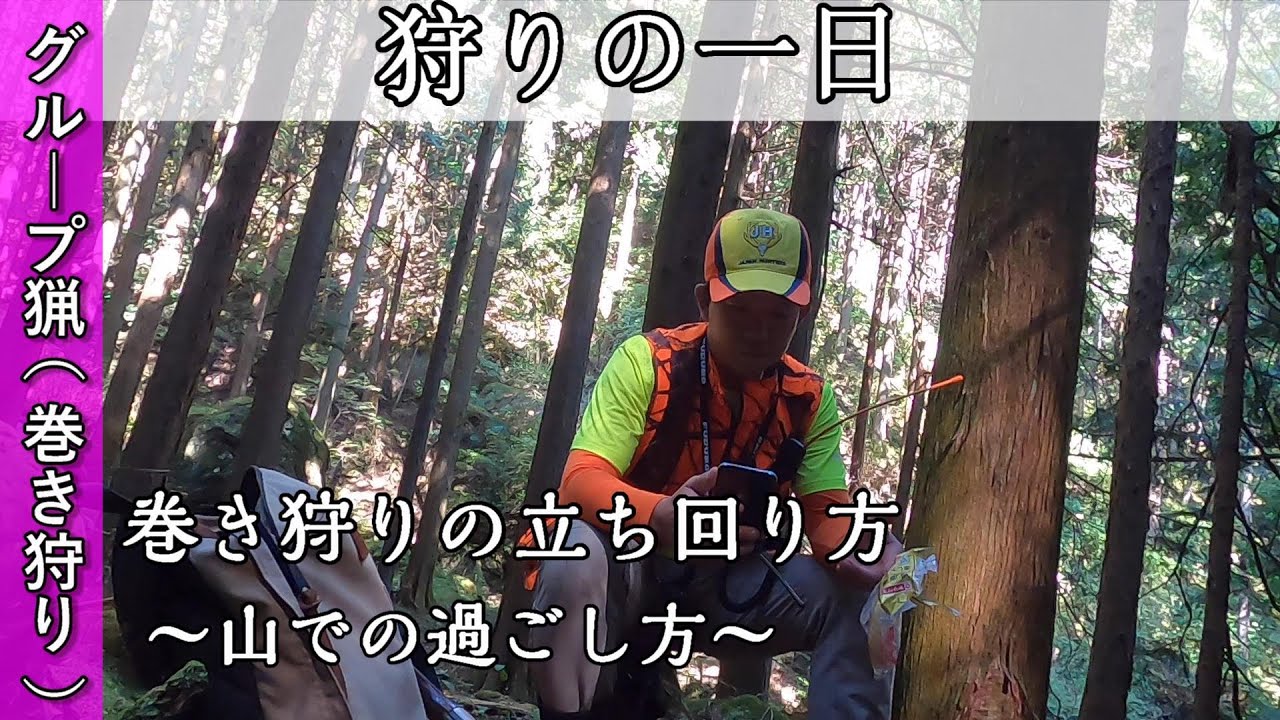 【狩猟】巻き狩りの立ち回り方～山での過ごし方～【巻き狩り猟】#狩猟 　#巻き狩り　#ジビエ