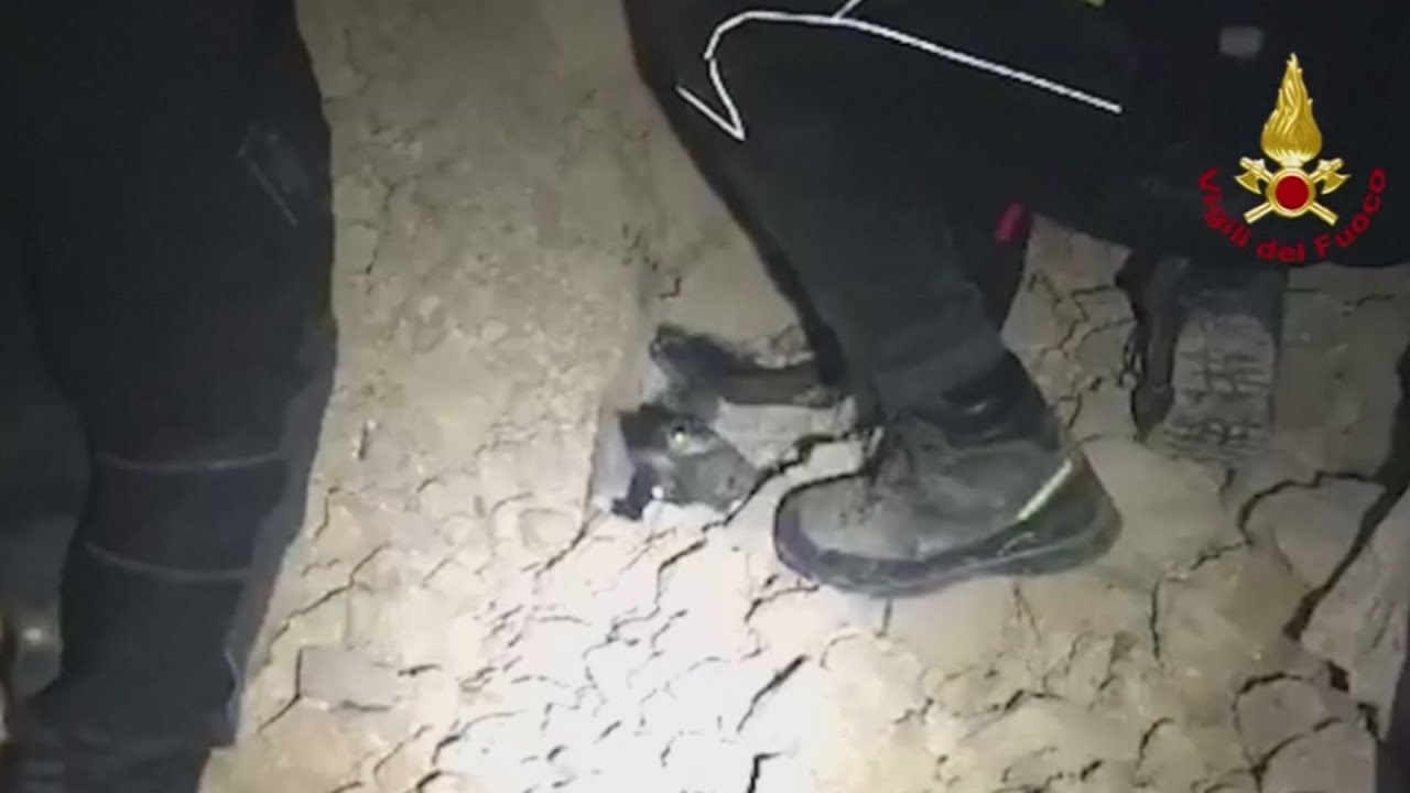 Dazed dog saved from rubble in quake-hit Italy