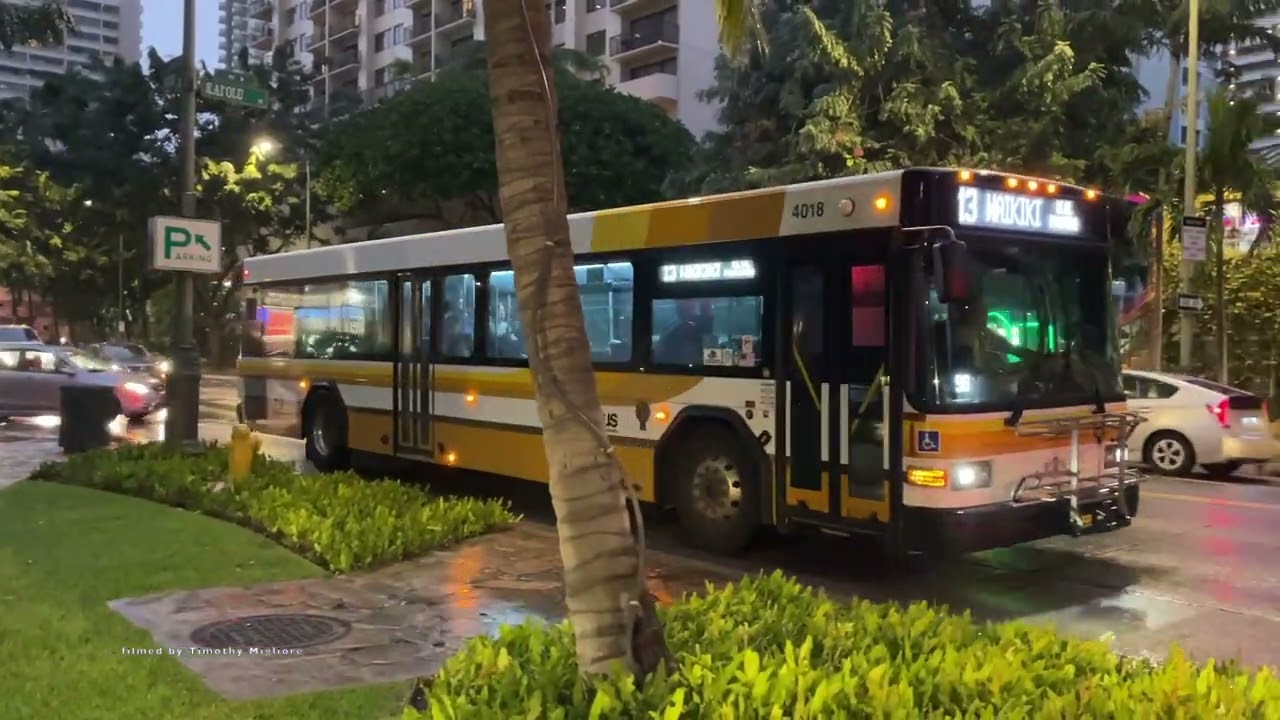 THE BUS - Buses in Honolulu, Hawaii 2025