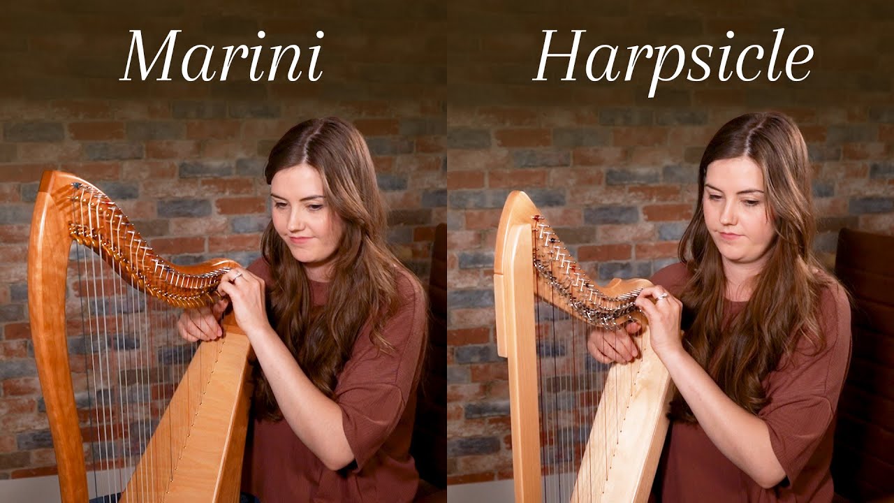 Comparing Two Lap Harps: Fullsicle Harp & Marini 28 Bass LAP Harp