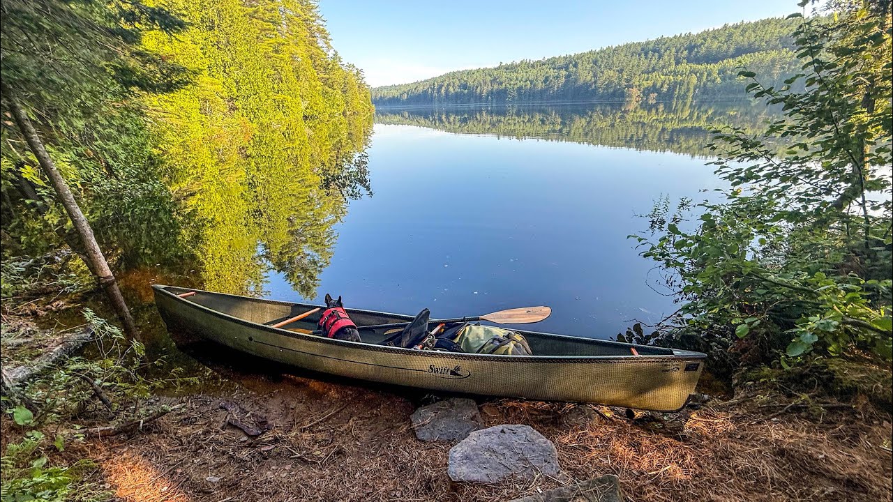 Solo Backcountry Canoe Camp on McManus Lake in Algonquin Park - Bear Sighting