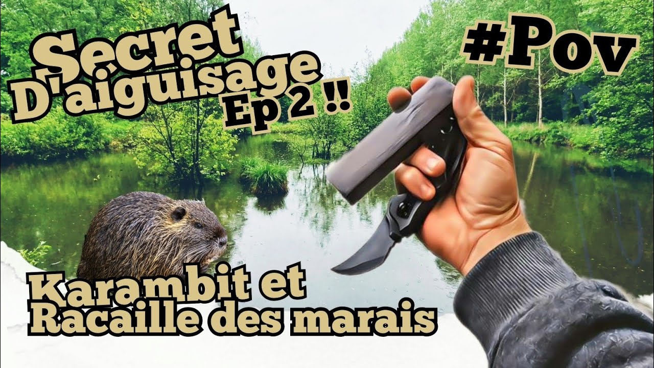 Secret d'aiguisage : les tranchants incurvés !!! #karambitknife #bushcraft