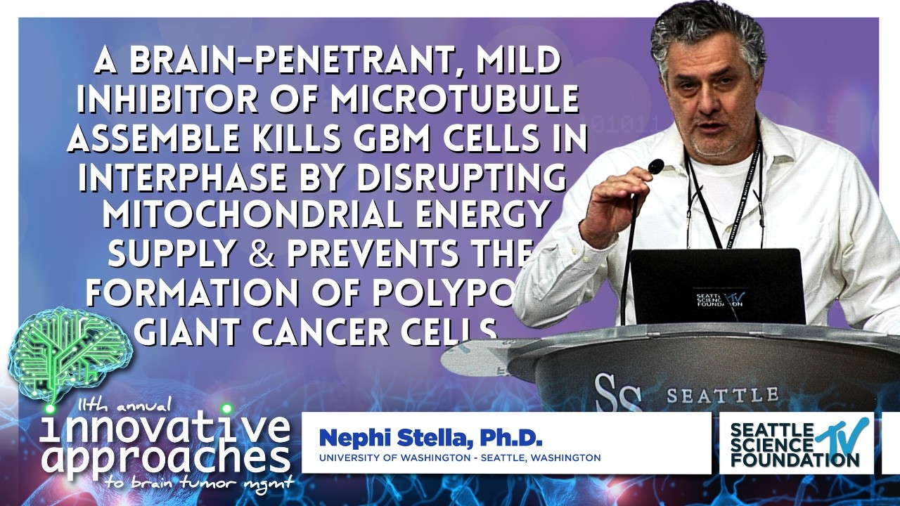 Novel Therapies to Treat Brain Tumors - Nephi Stella, Ph.D.