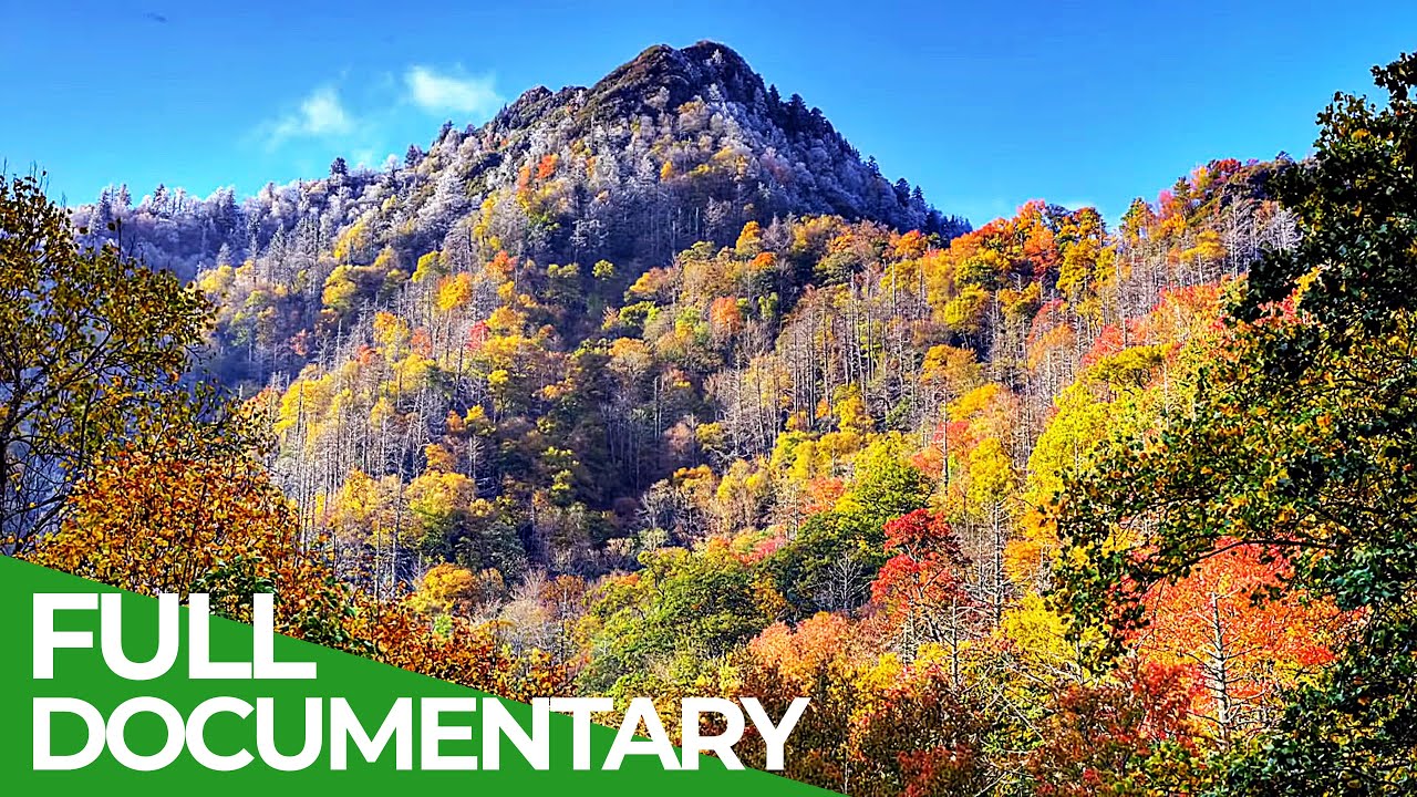 Great Smoky Mountains - A Fairytale World from Once Upon A Time | Free Documentary Nature