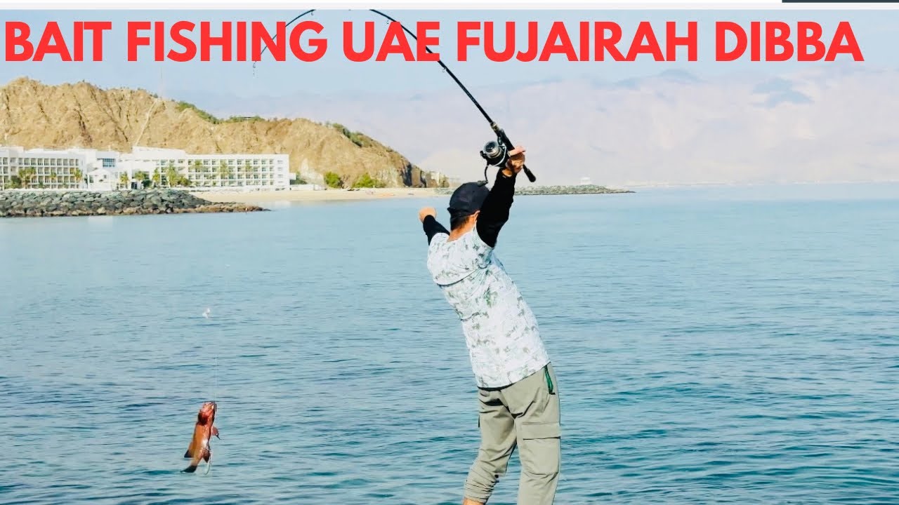 #BAIT FISHING UAE DIBBA FUJAIRAH #🔥🎣🇦🇪❤️