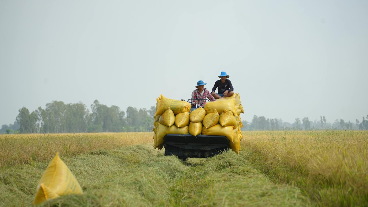 Food and Agriculture Trade and Investment