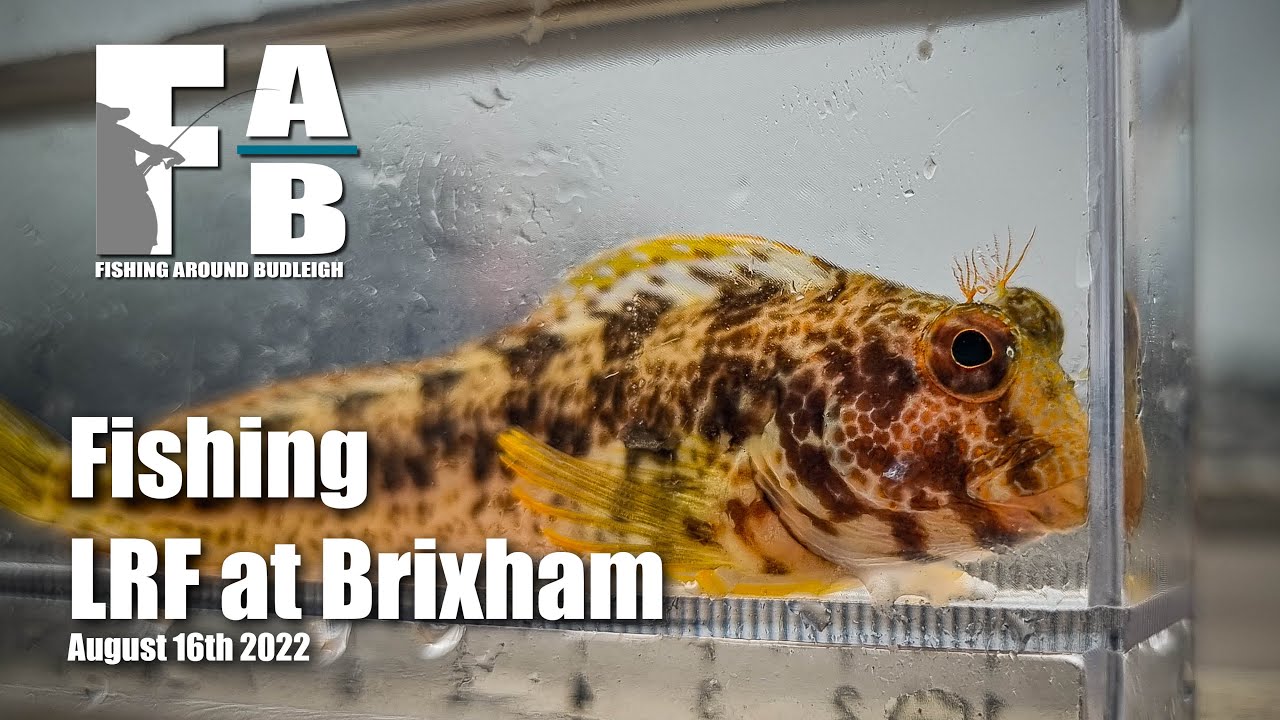 LRF Fishing at Brixham - August 16th 2022