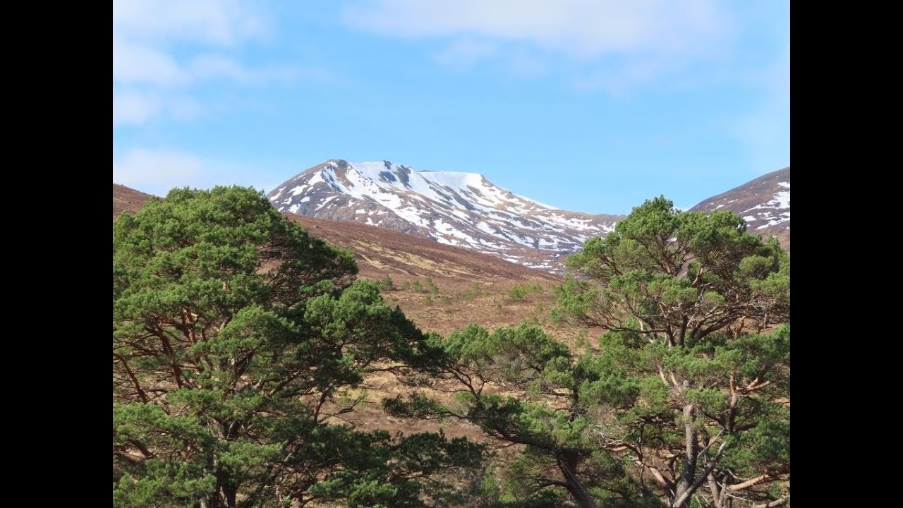 Beautiful  Glen Affric  Mountains  Scotland 31 3 2019
