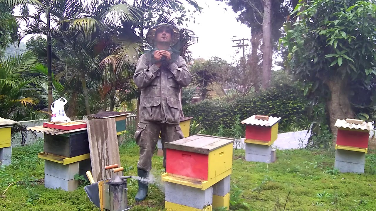Como obter uma fumaça ideal no fumegador 🐝 Apicultura com abelhas africanizadas