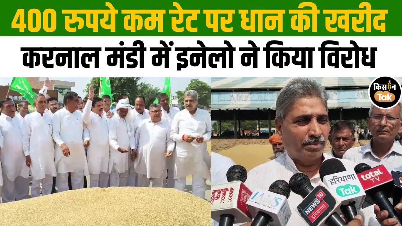 करनाल मंडी में इनेलो का जोरदार प्रदर्शन, धान खरीद में अनियमितताओं को लेकर हंगामा! 