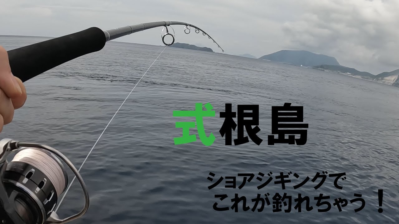 初夏の式根島で釣り旅、憧れの魚が釣れちゃいました