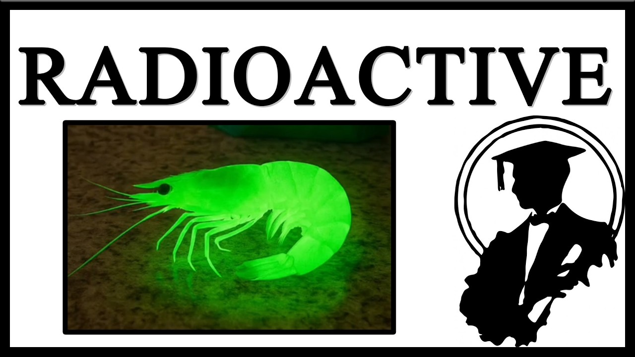 Walmart Radioactive Shrimp Is Delicious
